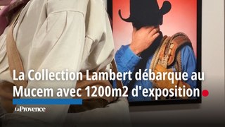 La Collection Lambert débarque au Mucem avec 1200m2 d'exposition