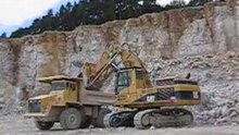 Cat 365