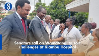Senators call on Wamatangi to sort challenges at Kiambu Hospital