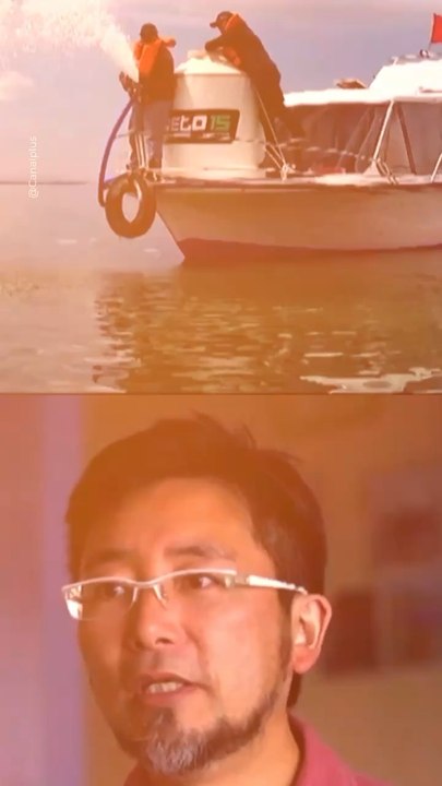 Abonne toi pour d’autres histoires positives !    @theimpactstory   Source : Wikipedia, Canal +    #histoire #histoirevraie #lagune #lac #riviere #pollution #invention