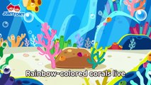 Let’s Protect Colorful Corals I Lost My Color- Rainbow-Colored Corals Kids Songs JunyTony