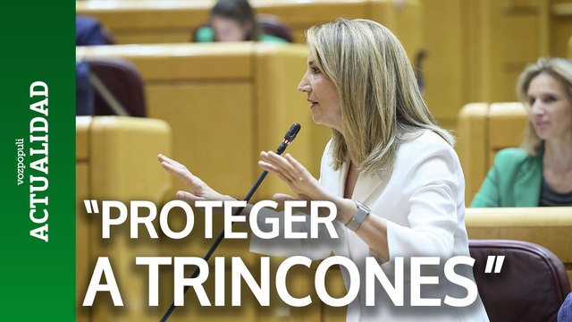 El PP acusa en el Senado al Gobierno de proteger a trincones y corruptos