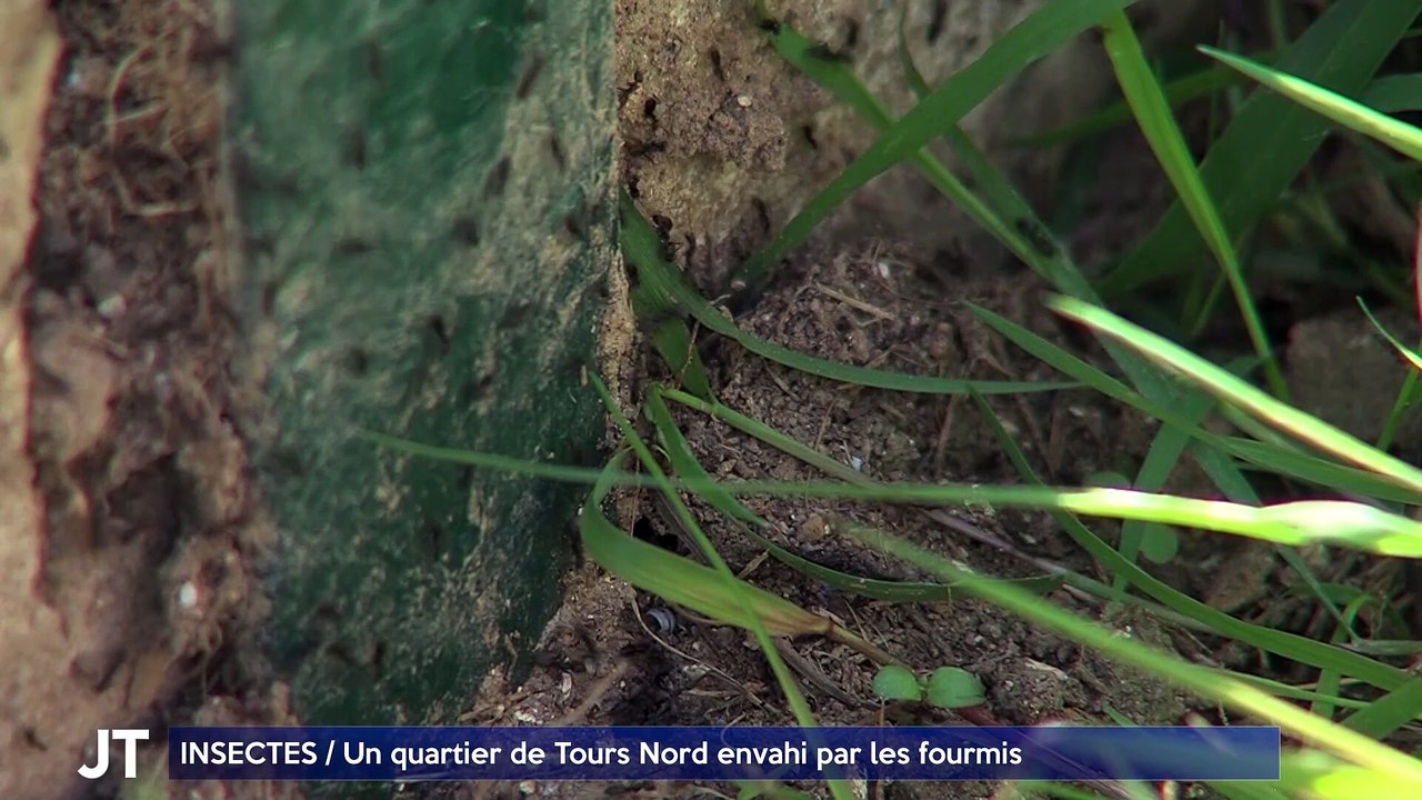 Le Journal - 23/04/2024 - GEL / Les vignerons mobilisés pour protéger les bourgeons