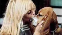 GALA VIDEO - Brigitte Bardot “dévastée de chagrin” : elle pleure la mort de son fidèle compagnon