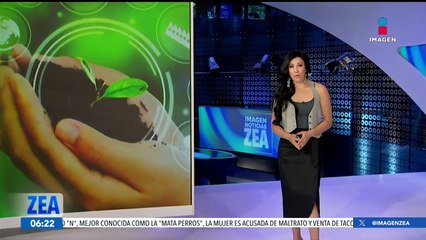 Las amenazas del planeta y las acciones para ayudar a mitigarlas