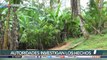 Investigan la muerte de una niña de dos años tras caer en una letrina en Bocas del Toro