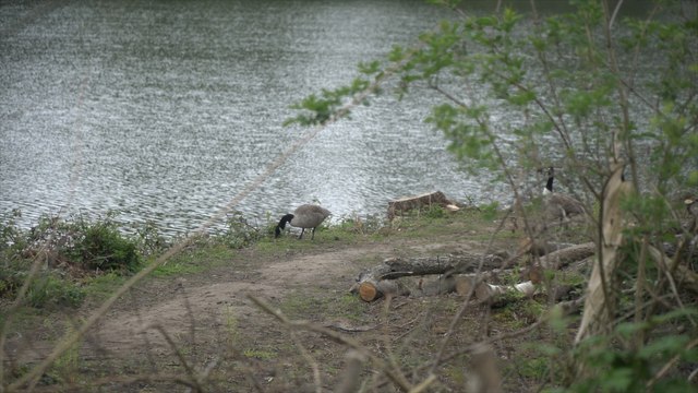 Kent Police investigating break-in at Kent Wildlife Trust's Sevenoaks Reserve