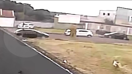 Câmera flagra batida traseira entre Argo e HB20 no Tropical