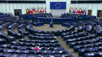 EU 외교수장 "이스라엘, 라파 공격 말아야...결과는 재앙" / YTN