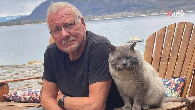 Il n'aime pas les chats : une rencontre fortuite va rebattre toutes les cartes