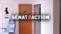 Sénat en action - IVG, un accès en danger