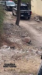 Con tres impactos de bala en el cráneo, el hombre fue asesinado en la colonia Francisco I. Madero