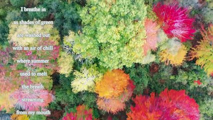 Breathing (still) #spokenwordpoetry #struggle