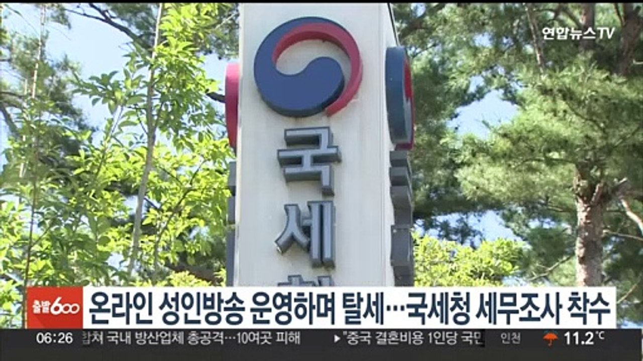 온라인 성인방송 운영하며 탈세…국세청 세무조사 착수