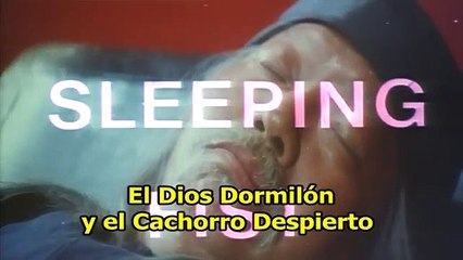 Película de karate - El Dios Dormilón y el Cachorro Despierto - Wu Tang