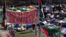 Las protestas a favor de Palestina en las universidades de EE UU