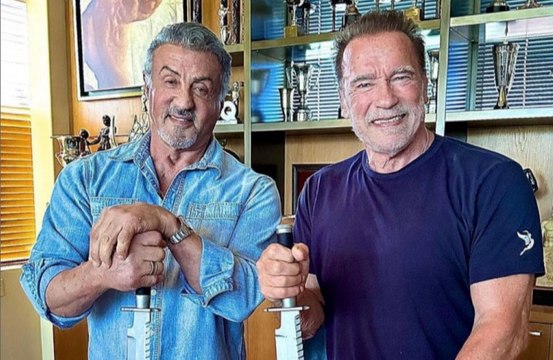 Arnold Schwarzenegger and Sylvester Stallone battled over the level of fat and body counts in their films