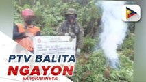 Halos P300M halaga ng ilegal na droga nakumpiska sa Cordillera sa Q1 ng 2024