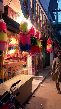 My new vlogs | travel vlogs