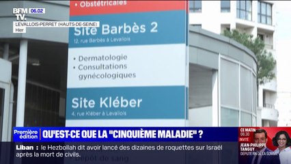 La France touchée par une recrudescence d'infections au parvovirus B19 qui ont tué 5 bébés en 2024