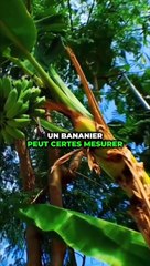 9 MYTHES POPULAIRES 6 !