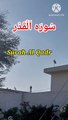 Surah Al Qadr | Surat ul Qadr | Tilawat quran | Learn Quran