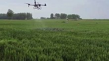 Z50P 50L Drones spray pesticides on wheat quickly and efficiently