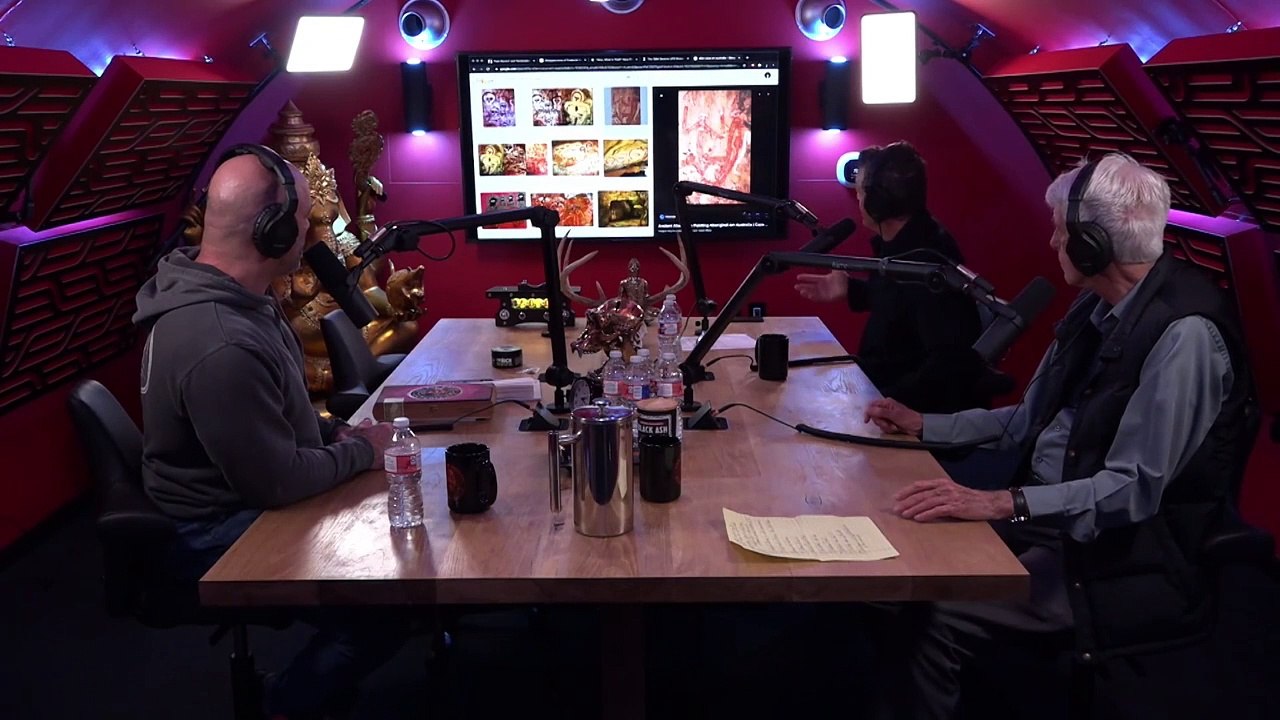 The Joe Rogan Experience #1574 – Jacques Vallée & James Fox Part 2/2