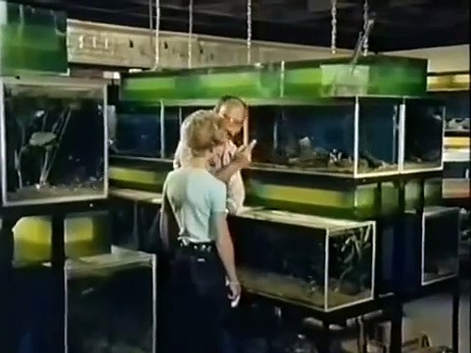 Pusteblume   15   Peter kommt auf den Hund Peter bekommt einen Hund