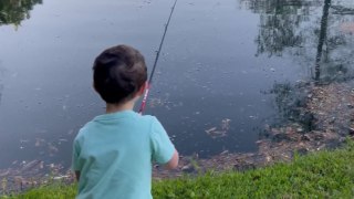 Little boy catches his first fish under his dad's guidance