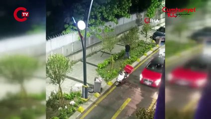 İstanbul’da bir şahıs tahtaları söküp saldırdığı ağaçla kavga etti: O anlar kamerada