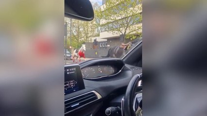 Two horses bolt through central London pursued by police after 'hitting vehicles'