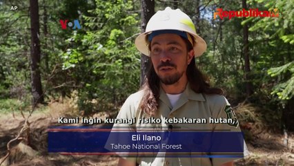 Cegah Karhutla, Petugas Pangkas Pohon dan Semak Belukar