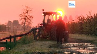 En riesgo la cosecha de fruta por la brusca caída de temperaturas en varios países europeos