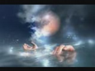 cheb nasro - wili wili