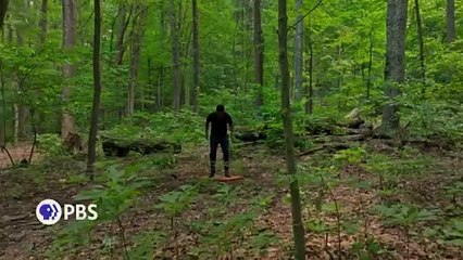 The Express Way with Dulé Hill - Trailer