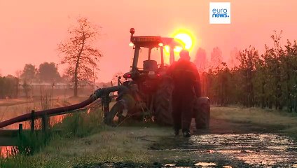 Europe's fruit farmers worry as unseasonal frosts threaten harvests