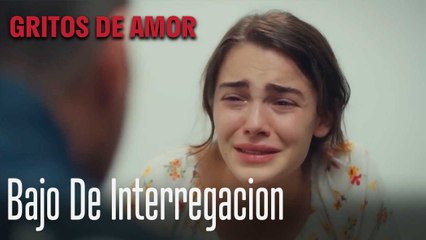 Bajo De Interregacion - Gritos De Amor Capitulo 7