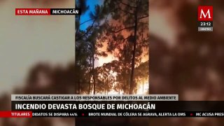 Soldados en acción para detener devastador incendio en Michoacán