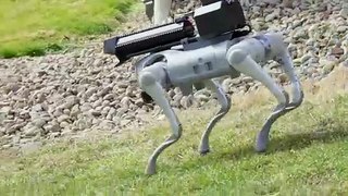 The Robot Dog With A Flamethrower   Thermonator
