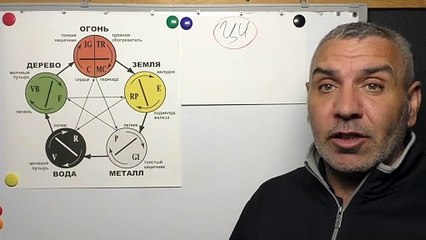 Теория ИНЬ и ЯНЬ