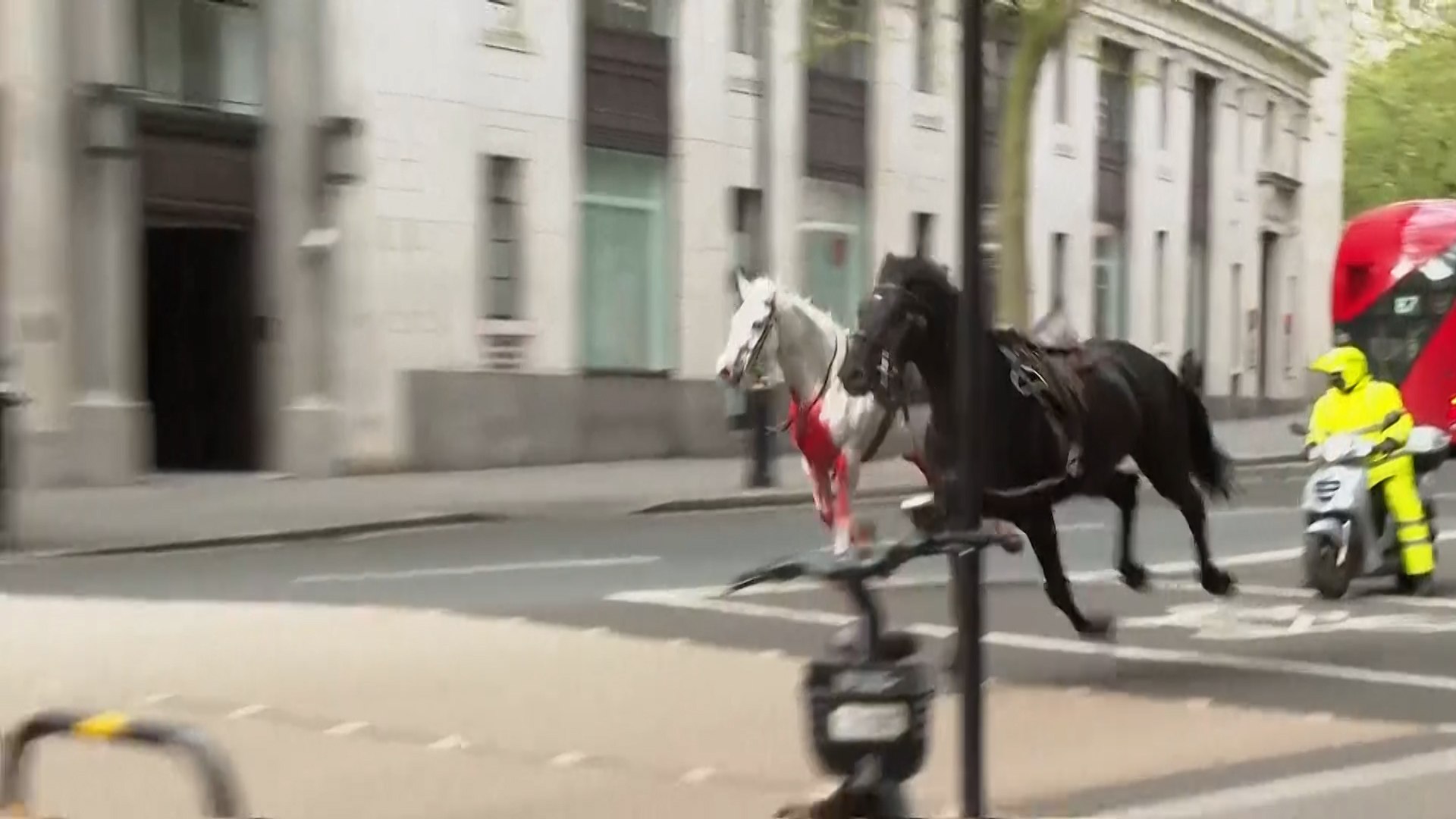 Unos caballos asustados siembran el caos por las calles de Londres