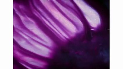 Tráiler de Karma: The Dark World