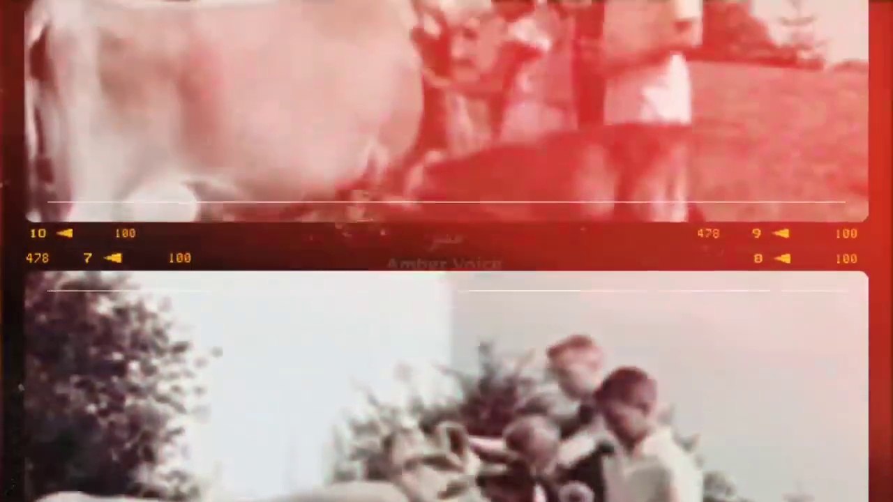 Israel sacrificing Red heifer in April _ End time prophecy _ Third temple dajjal _ Amber Voice _