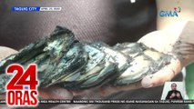 P300,000 cash na napinsala ng sunog, inilapit sa bangko para masuri kung pwedeng palitan | 24 Oras