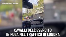 Cavalli dell'esercito in fuga nel traffico di Londra