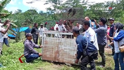 BBKSDA Bantu Kembangkan Kampung Persiapan Malasigi Sebagai Daerah Wisata