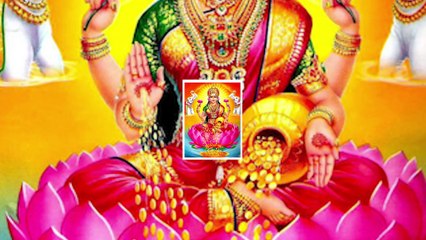 Steady Income for the the Investment