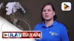 ECOP, nagbigay ng opinyon tungkol sa naging pahayag ni VP Sara Duterte kamakailan