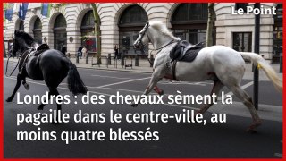 Londres : des chevaux sèment la pagaille dans le centre-ville, au moins quatre blessés